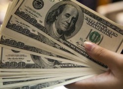 dolares